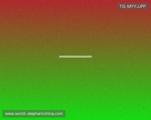 世界杯荷兰对阵瑞典比赛最新赛果全面分析与精彩瞬间回顾 世界杯荷兰对阵瑞典比赛最新赛果全面分析与精彩瞬间回顾