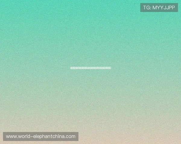 世界杯赛场上塞内加尔对阵法国的门将是谁及其关键表现解读 世界杯赛场上塞内加尔对阵法国的门将是谁及其关键表现解读