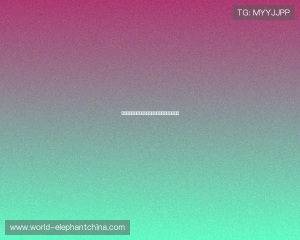 乌拉圭对佛得角比赛用球场设施与场地条件全面解析 乌拉圭对佛得角比赛用球场设施与场地条件全面解析