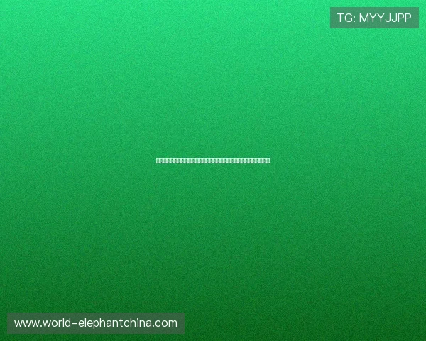 比利时与伊朗在世界杯小组赛中的关键战：赛后数据统计与比赛影响分析