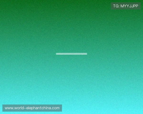 沙特对乌拉圭比赛时间北京时间预测,赛事精彩看点全解析 沙特对乌拉圭比赛时间北京时间预测,赛事精彩看点全解析