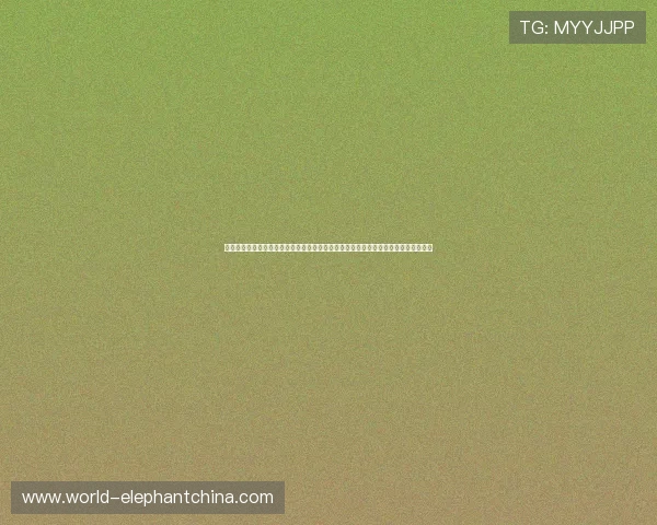 长沙乐玩体育提供多样化的体育娱乐项目,满足不同年龄层的运动需求与休闲娱乐体验 长沙乐玩体育提供多样化的体育娱乐项目,满足不同年龄层的运动需求与休闲娱乐体验